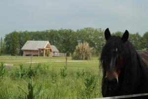 Lodges Shanti Lac Cabanes gites insolites et espace bien-etre Bordeaux : photos des chambres