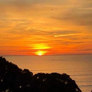 Quinta Barracuda Albufeira