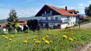 Penzion Gästehaus am Goldberg Riedlhütte Německo