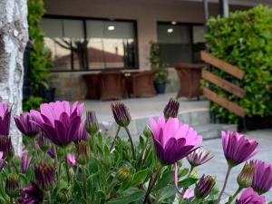 Jo Marinis Rooms Korinthia Greece