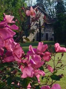 Agriturismo Beria de Carvalho de Puppi