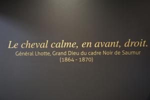 Hotels Mercure Bords de Loire Saumur : photos des chambres