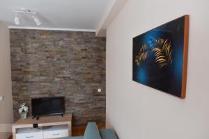 Apartman Ledjanac