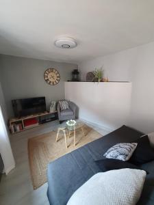 Appartements LE PETIT FLECK : photos des chambres