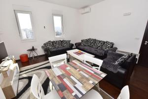 Apartment Branko