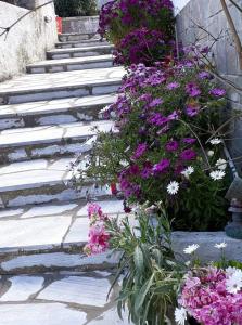 Aegean Panorama Tinos Greece