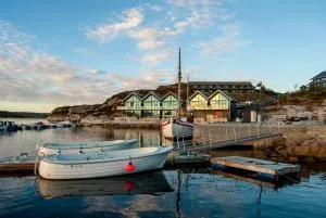 Panorama Rorbusuiter - Nese