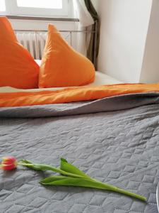 Privát Dream Guestroom Piteşti Rumunsko