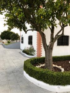 My house in Mira - Cantanhede Mira Beach Cantanhede