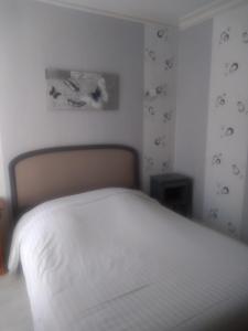 Hôtel Central photo 6