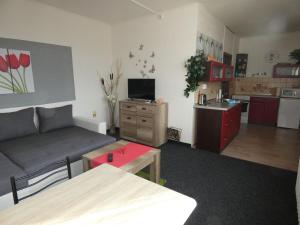 Апартамент Kr&aacute;tkodob&eacute; pobyty na hor&aacute;ch, Tanvald Танвалд Чехия