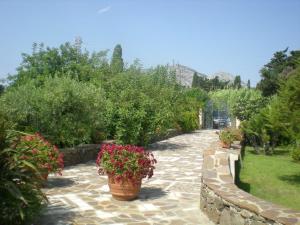 Sisula Country Hotel & SPA img28