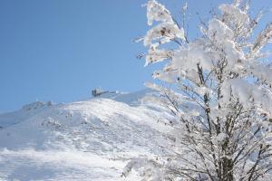 Maisons de vacances Chalet les Eglantines : photos des chambres