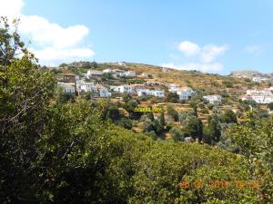 AEGEAN VIEW Andros Greece