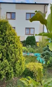 Jurajska Bajka - Siedlec