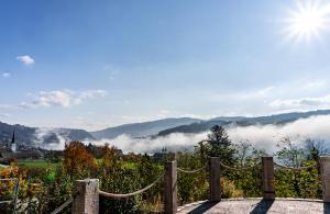 Landhotel Donaublick