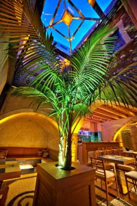 Elia Fatma Boutique Hotel Chania Greece