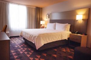 King Room room in Holiday Inn Houston Hobby Airport an IHG Hotel