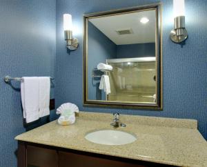 Leisure King Room - Non-Smoking room in Holiday Inn Channelview an IHG Hotel