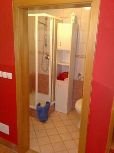 Apartment Beli Zajec