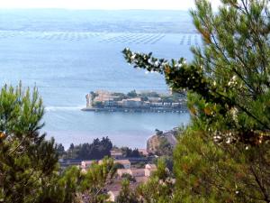 Villages vacances Lagrange Grand Bleu Vacances – Residence Les Pescalunes : photos des chambres
