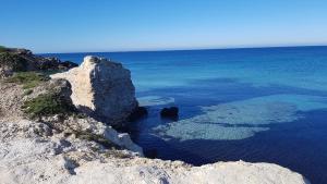 L'AGRUMETO SEGRETO img33