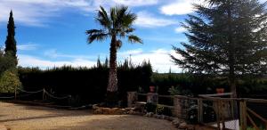 Casa Rural La Higuera Chica