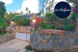 Les Antigones - Latanier