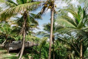 Tent Bay, Bathsheba BB21054, Barbados.