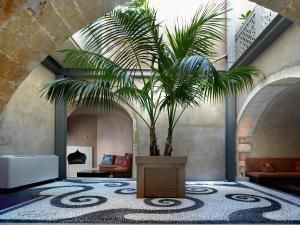 Elia Fatma Boutique Hotel Chania Greece