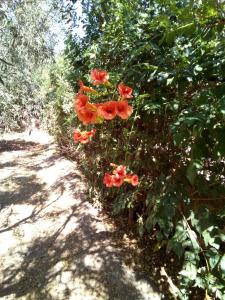 Family and friendly home.