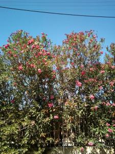 Family and friendly home.