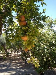 Family and friendly home.