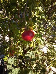 Family and friendly home.