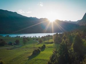 Apartments Rožič Bohinj 