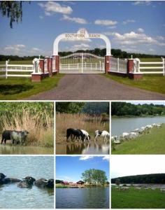 Bungalo UFER LODGE Camp Dallas-Southfork Ranch GLAMPING Lenti Ungari