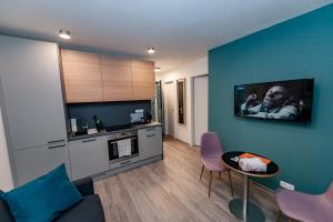 Apartament Apartments 4u: KAMPUS Hradec Králové Hradec Králové Czechy