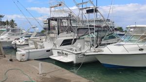 SandCastles Holiday #C9