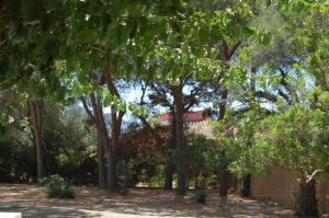 Villa le Stelle img12