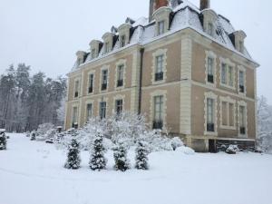 B&B / Chambres d'hotes Chateau des Essards avec piscine et jacuzzi : photos des chambres