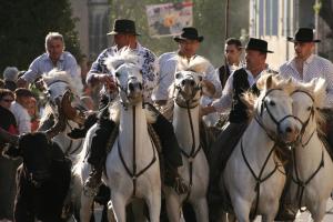 Maisons de vacances Gite de vacances en Camargue ☆☆NN : photos des chambres