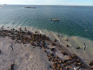 Bahia Bustamante Lodge