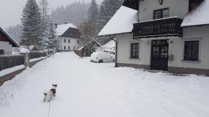 Apartman Irvin 