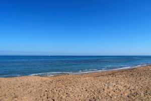 Anacasa Zurich Les Marines AP3216