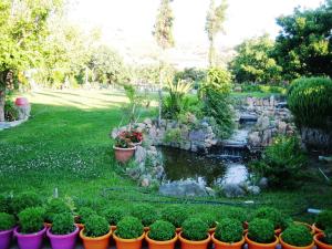 Sun House Apartments in Eftalou