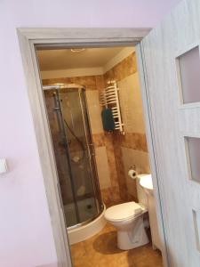 Apartamenty Dzika Orlica