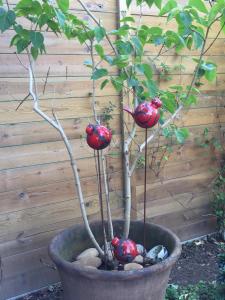 Sejours chez l'habitant Petit cocon lillois:Cheminee & jardin : photos des chambres