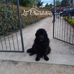 Cabaña la Chocolatera