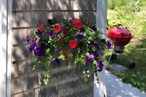 Holiday Home room in 533 Bike to Nauset Beach or Walk to Mill Pond from this Charming East Orleans Cottage