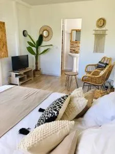 Kaz et Palmiers - Surgy